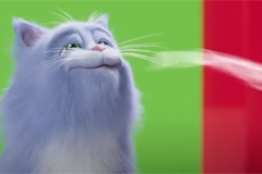 "Эльдорадо" сняла анимационный ролик о приключениях кота на кухне 