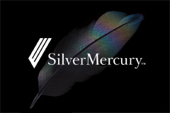 Silver Mercury     