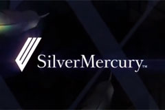 28-го мая состоялась Церемония награждения Silver Mercury 2020