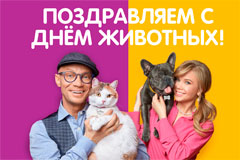 В честь Дня животных Mars Petcare и BBDO Moscow предложили называть питомцев по имени и отчеству 