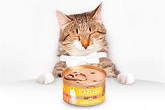 Style You: Дизайн этикетки консервированного корма для кошек LAZZARO