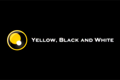 Yellow, Black and White  