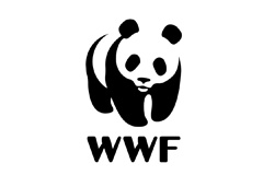 WWF России предлагает создать единый информационный ресурс для борьбы с незаконной торговлей животными