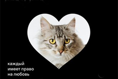 Каждый имеет право на любовь: Cofix и Центр реабилитации бездомных животных &quot;Юна&quot; запустили совместный проект