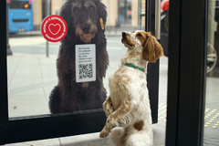 Альфа-Банк пригласил клиентов с питомцами в pet-friendly офисы