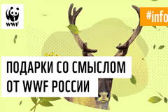 WWF России представляет &quot;Подарки со смыслом&quot; - устойчивое решение для корпоративных сувениров