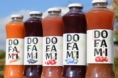 Солнечные ягоды. Разработка новой марки сока DO-FA-MI от агентства AVC