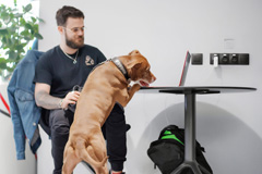 Альфа-Банк открыл первый dog-friendly коворкинг для сотрудников 