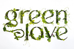 Green Love: Разработка дизайна упаковки и этикетки от Depot
