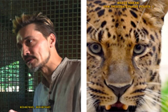Московский зоопарк подготовил серию видео к Дню защиты животных