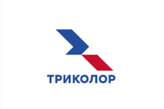 Видеоблогеры, аниме и советская классика: Триколор выделил тренды семейного телесмотрения