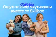 Skillbox превращает домашнюю работу учеников в еду из приюта для кошек