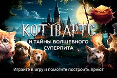 Грифонкот или Догиндуи?: в России вышла первая благотворительная мини-игра в альтернативной вселенной Гарри Поттера | Новости компании