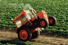 Картошечно-ягодное настроение по всей стране