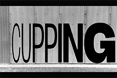 Зачем крупным брендам заказывать уникальные шрифты