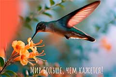 ��������� "�������" ������� ����������� ���������� � ����� 20-�����